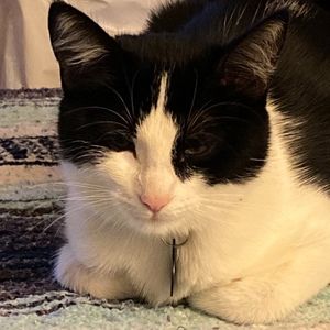 Meet your Posher, Cristina